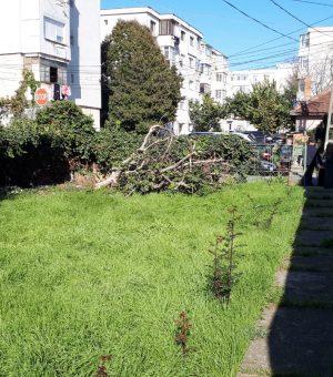Vanzare imobil Viile Noi
